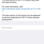 ios 11.2 developer beta 2 for iphone x