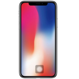 iphone x with home button