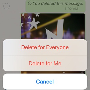 whatsapp delete message feature