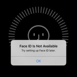 'Face ID Is Not Available' error prompt.