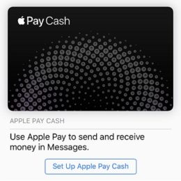 iOS 11 Apple Pay Cash set up screen.