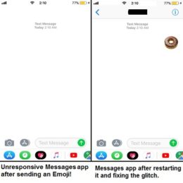 iOS 11 Messages app crashed by emoji bug.