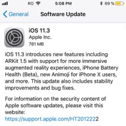 iOS 11.3 software update screen