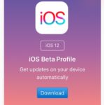 ios 12 beta profile