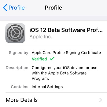 install ios 12 beta profile