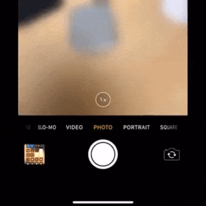 iPhone XS Max Camera autofocus bug