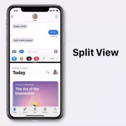 iphone xs max split view concept