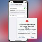 iOS 12 Critical Alerts setup