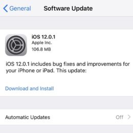 iOS 12.0.1 Software Update.