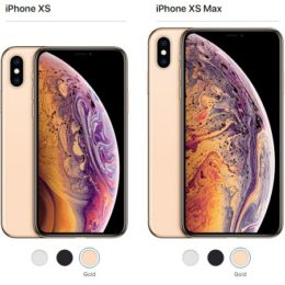 iPhone XS vs iPhone XS Max.