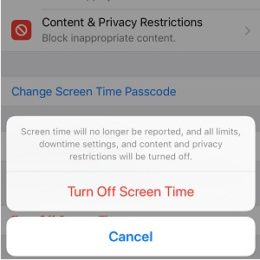 Turn Off iPhone Screen Time feature.