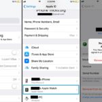 how to remove device from apple id
