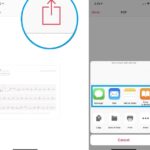 how to share apple watch ecg result with doctor