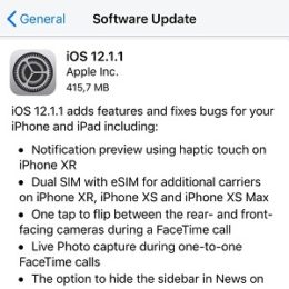 iOS 12.1.1 software update