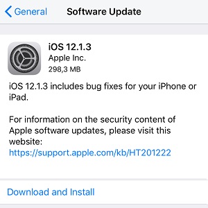 ios 12.1.3 software update