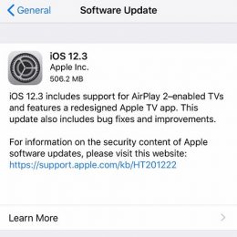iOS 12.3 software update screen.