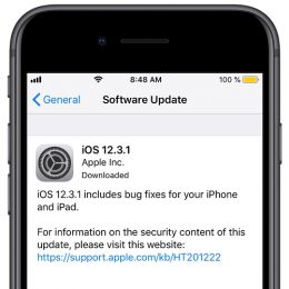 iOS 12.3.1 software update