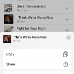 adding a song to apple music playlist