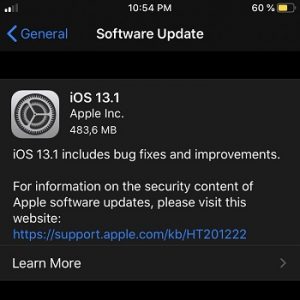 iOS 13.1 Software Update screen.