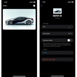 alleged iOS 14 iPhone CarKey interface