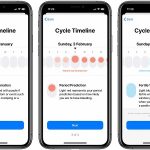 how to read the Health app's cycle timeline