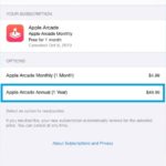 Apple Arcade yearly subscription discount