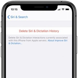 Delete Siri & Dictation History on iPhone
