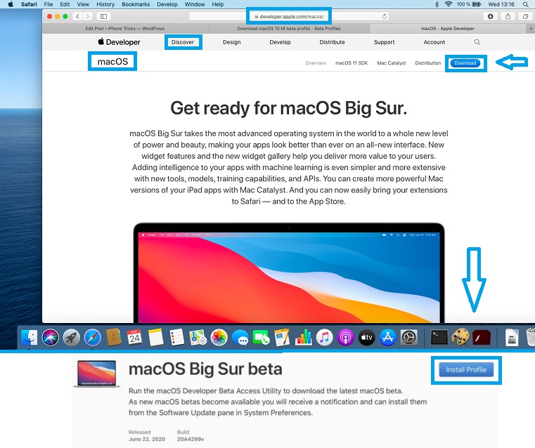 Mac Os Big Sur Download Beta