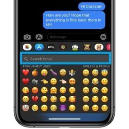 iOS 14 emoji search iPhone feature