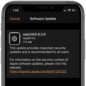 watchOS 6.2.6 Software Update screen
