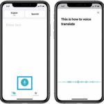 Translate app voice translation feature in iOS 14