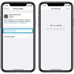 download and install iOS 14 Public Beta 2