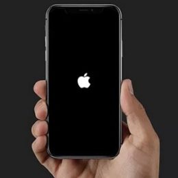 force restarting iPhone 11 because of iOS 14 beta bug