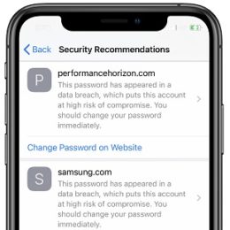 iCloud Keychain Security Recommendations for Passwords in iOS 14