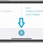iPhone Translate app Conversation mode