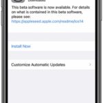 install iOS 14 Public Beta 2