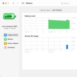 macOS Big Sur Battery Usage History for Mac