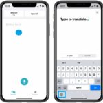 stock text translation in iOS 14
