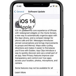 iOS 14 Software Update Screen