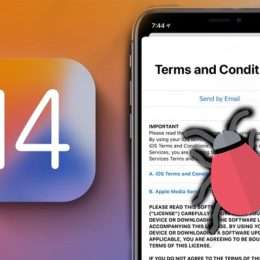 iOS 14 Terms and Conditions bug