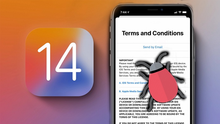 iOS 14 Terms and Conditions bug