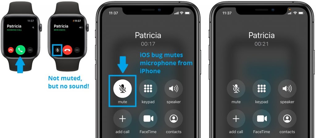 bug mutes microphone on Apple Watch during voice calls