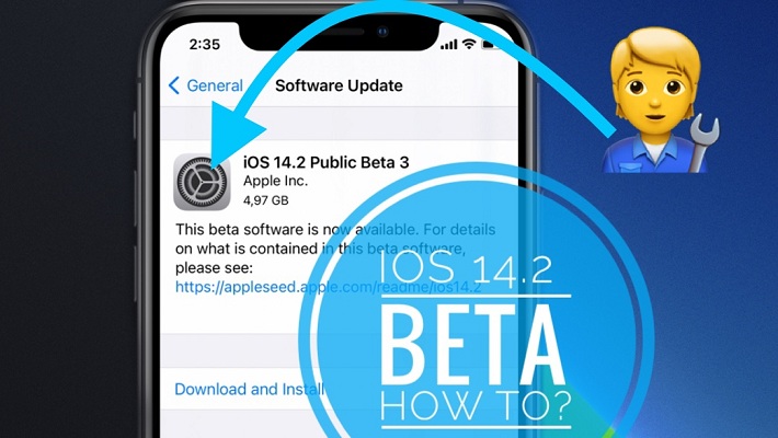how to update to iOS 14.2 beta