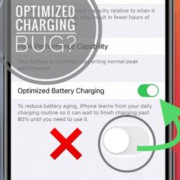 Optimized Battery Charging can't be disabled in iOS 14.2