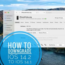 how to downgrade iOS 14.2 to iOS 14.1