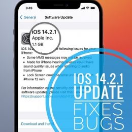 ios 14.2.1 update