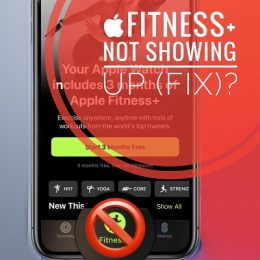 Apple Fitness+ not showing up