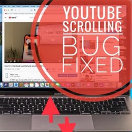 YouTube scrolling bug in macOS Big Sur