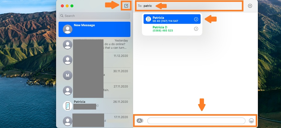 how to fix missing text input field in macos big sur messages