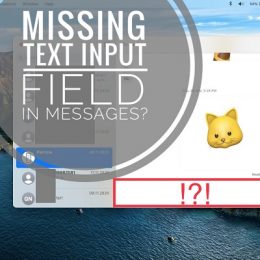 missing text input field in Messages